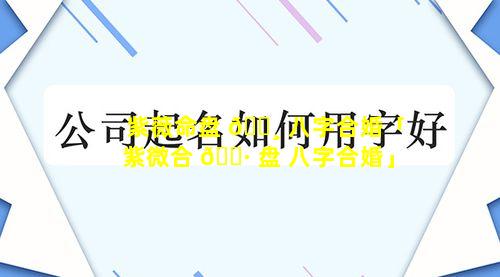 紫薇命盘 🌸 八字合婚「紫微合 🕷 盘 八字合婚」